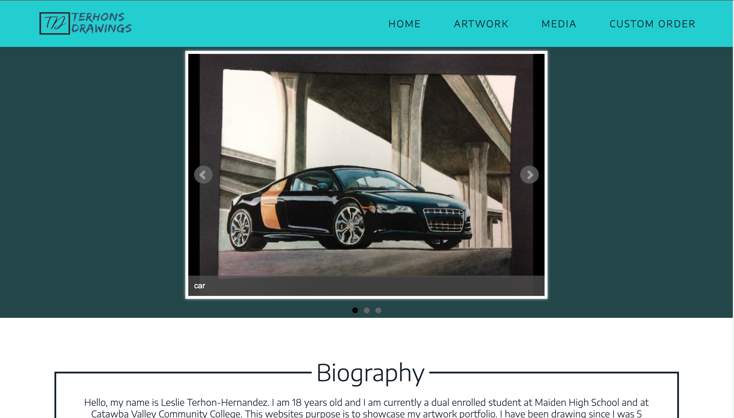 Terhons Drawings Site